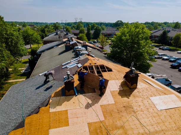Best Roof Maintenance Services  in Ellerslie, GA
