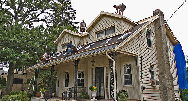 Best Metal Roofing Contractor  in Ellerslie, GA